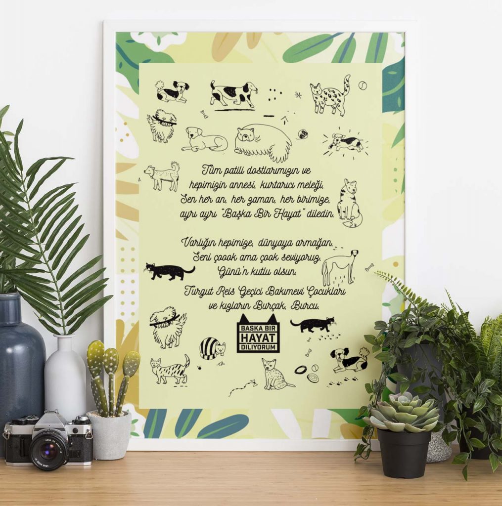 Başka Bir Hayat Diliyorum