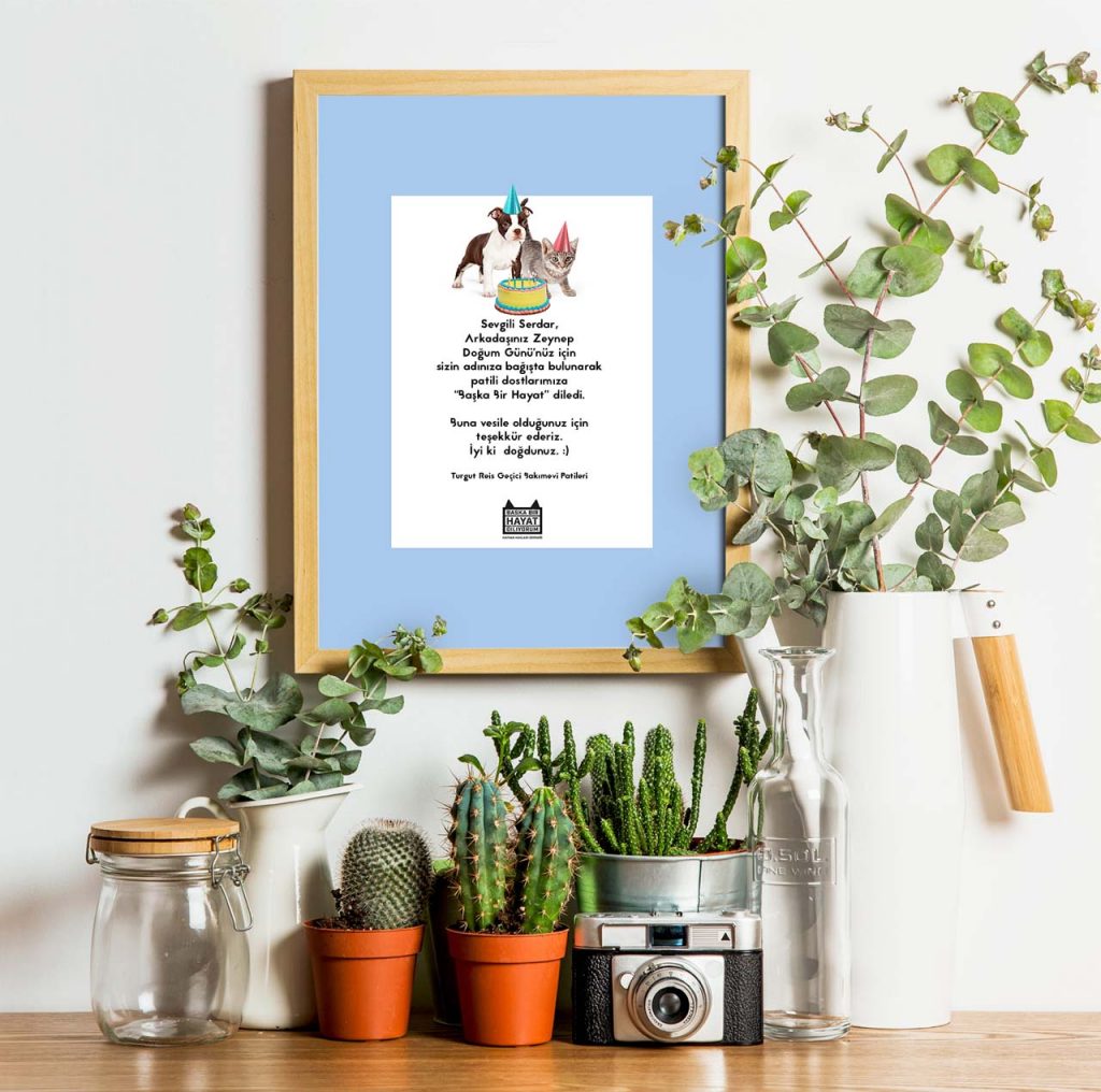 Başka Bir Hayat Diliyorum