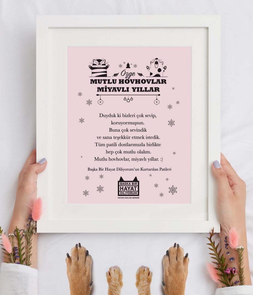 Başka Bir Hayat Diliyorum